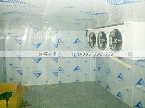 速凍冷庫(kù)安裝.jpg