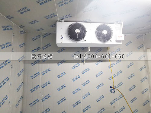 建個(gè)小型冷藏庫需要多少錢.jpg