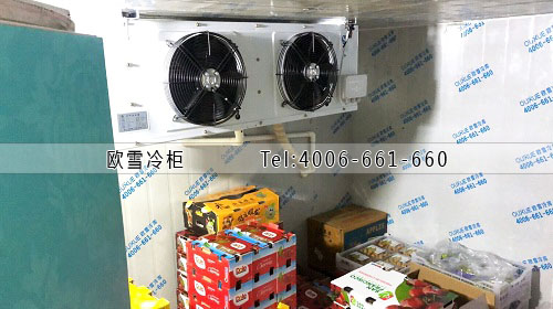 小型水果保鮮冷庫(kù).jpg