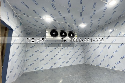 凍庫(kù)建造廠家.jpg