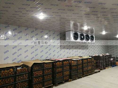 江蘇省南京市江寧區(qū)申通快遞冷庫