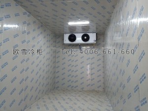 振新(重慶)農(nóng)業(yè)科技開發(fā)有限公司物流倉儲(chǔ)冷庫