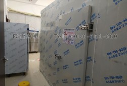 冷庫(kù)安裝-食堂冷藏冷凍冷庫(kù)工程設(shè)計(jì)與安裝