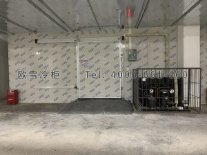 湖北艾森豪酒店管理有限公司雙溫食品冷藏冷凍冷庫安裝