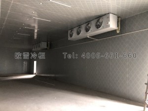 安?？h城關(guān)生豬定點(diǎn)屠宰廠肉類冷藏冷凍冷庫(kù)安裝