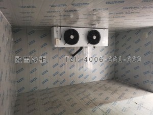 江蘇省南京市江寧區(qū)遠(yuǎn)方物流小型冷凍倉儲(chǔ)冷庫安裝