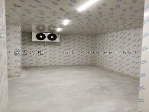 中國郵政重慶市銅梁區(qū)分公司生鮮配送倉儲(chǔ)冷庫安裝