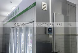 疫苗冷庫-上海25立方的后補式醫(yī)藥冷庫安裝