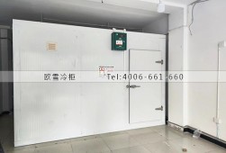 冷庫設(shè)計-重慶40立方的小型蔬菜保鮮冷庫安裝