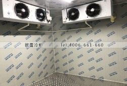 冷庫如何預(yù)防異味產(chǎn)生？異味產(chǎn)生原因？