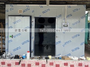 香港30立方的小型水產(chǎn)品冷凍冷庫安裝案例