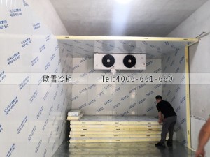 湖南省株洲市68立方的冷藏冷庫(kù)工程安裝